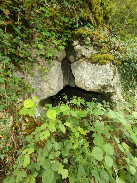 Antheuil - grotte de la route - photo entrée cavité 3, Aurélien Bloch.jpg
Vue rapprochée
Fichier manquant